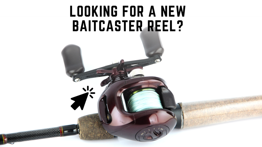 Baitcaster reel to pair with the reader's new baitcaster rod for topwater bass fishing