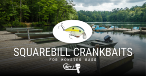 Squarebill Crankbaits For Monster Bass