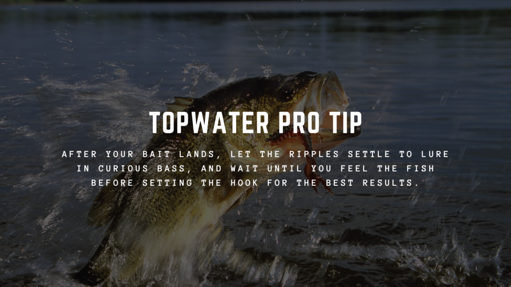 Topwater Lures Pro Tip